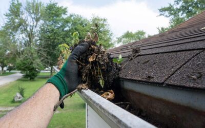 How Regular Gutter Cleaning Prevents Costly Repairs